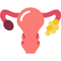 laproscopic fibroid removal in Thane